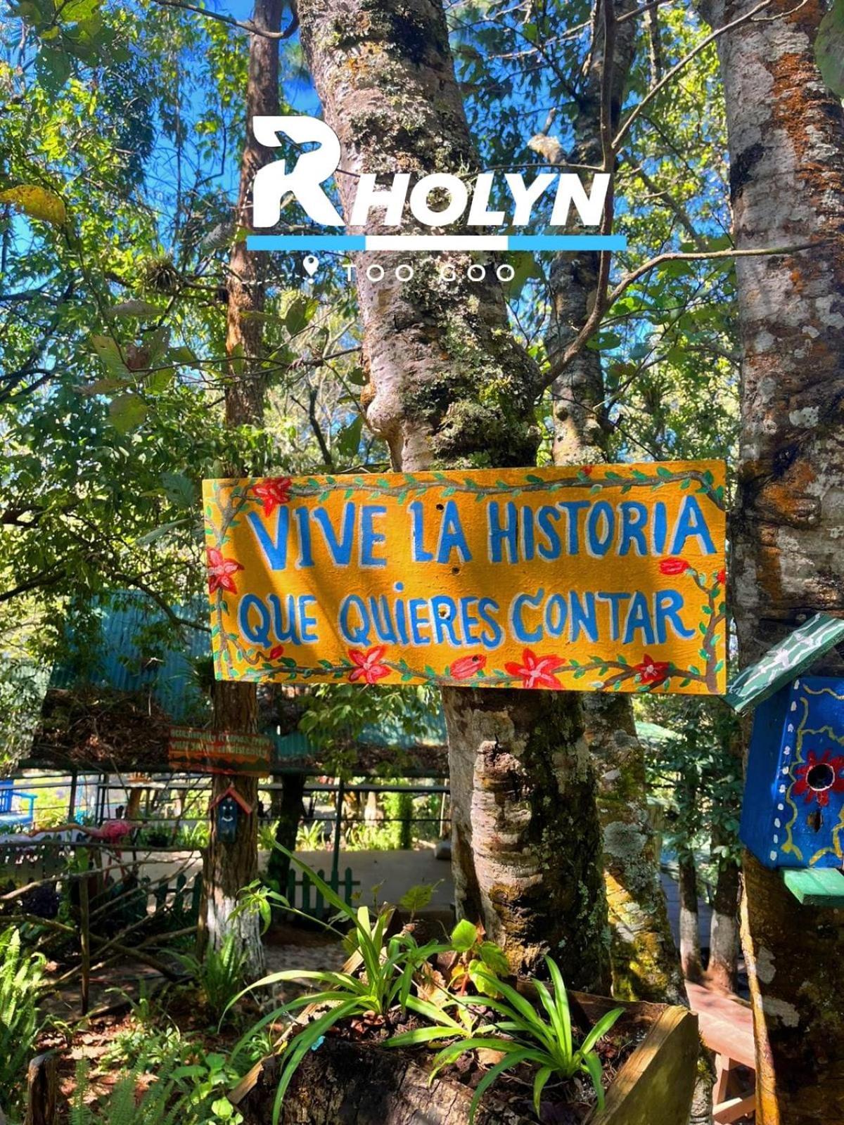 Hotel Rholyn Pura Vida !! Antigua Екстериор снимка
